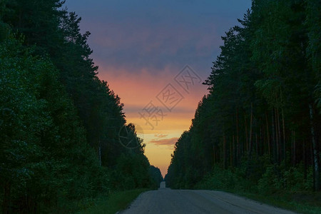 日落时的森林土路图片