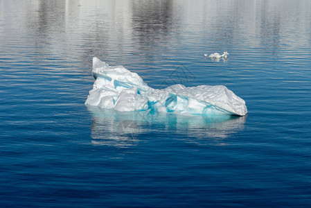 南极海域的大冰块图片