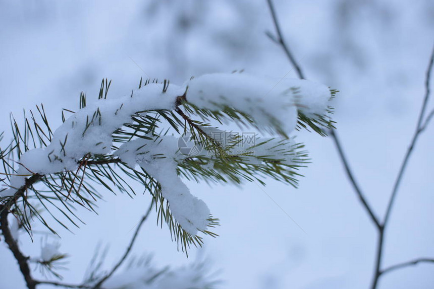 冬天风景雪寒冷背景图片