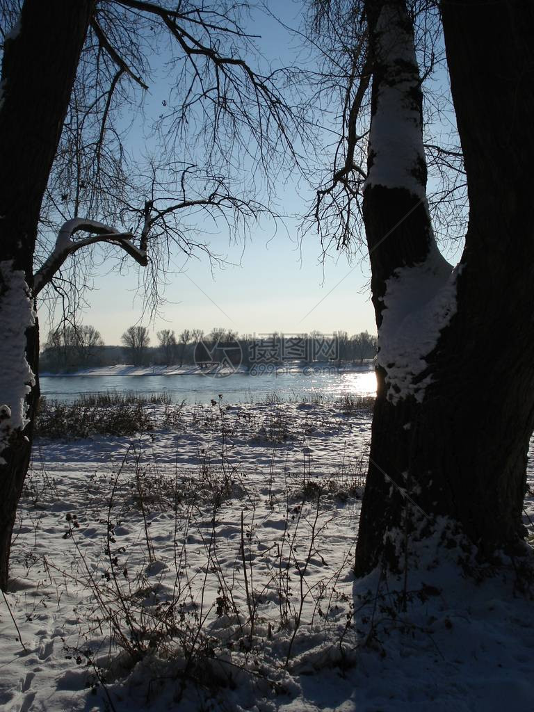 公园里的一个湖泊的冬季场景有白雪覆盖的树木和海滩图片