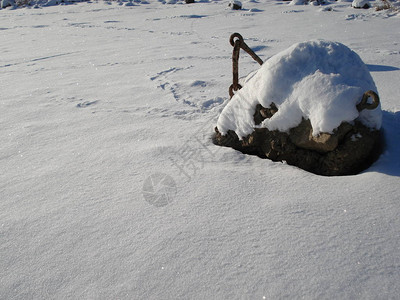 公园里的一个湖泊的冬季场景有白雪覆盖的树木和图片