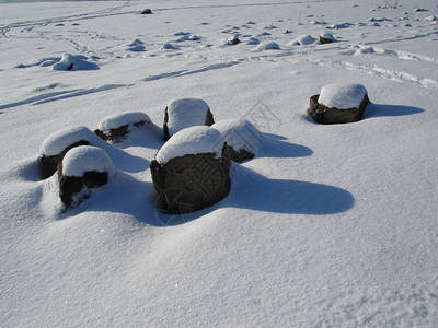 公园里的一个湖泊的冬季场景有白雪覆盖的树木和图片