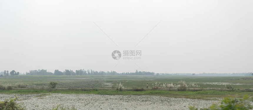 具有农田和农田的模型印度农村地区的景观地平线视图印度旅游背景印度东北部阿萨姆邦图片