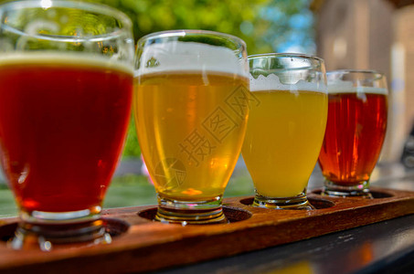 手工艺啤酒品尝五杯有不同颜色图片