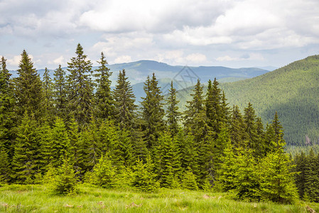 夏季喀尔巴阡山脉乌克图片