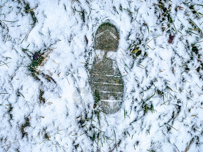 草地上雪地上的鞋印图片