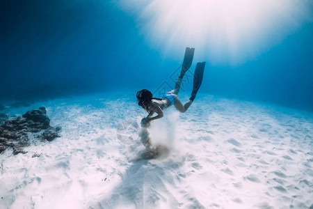 自由潜水器和令人惊叹的光辉女伴着鳍滑翔在图片
