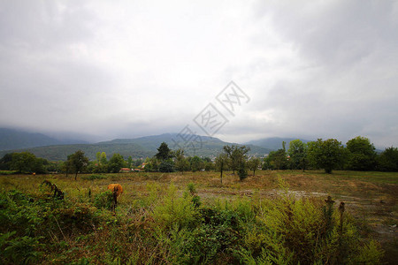 雾中的山景山里的房子荒野上的古老鬼屋荒地中间的木屋风景秀图片