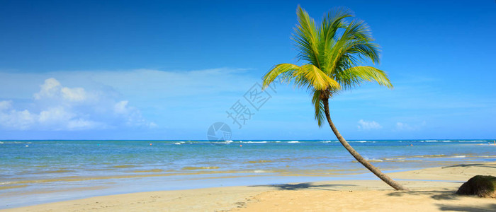 美丽的热带海滩有图片