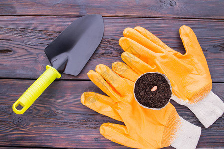 抹子防护手套和种子纤维锅豆在土壤中图片