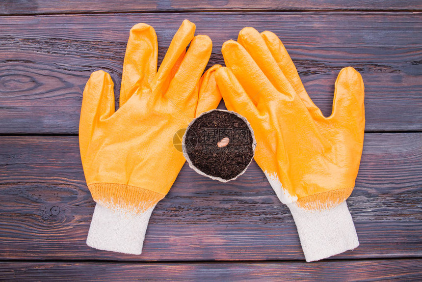 橙色园艺手套和带土壤和种子豆的圆纤维锅图片