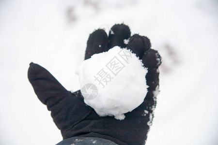 真正的雪球和他们的手从冬天的清新雪中拍背景图片