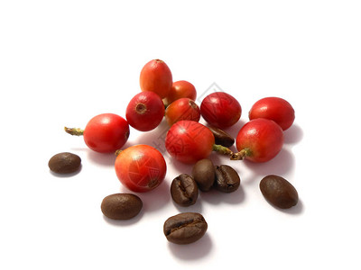白底隔离的红咖啡豆和烤焦咖啡豆以图片