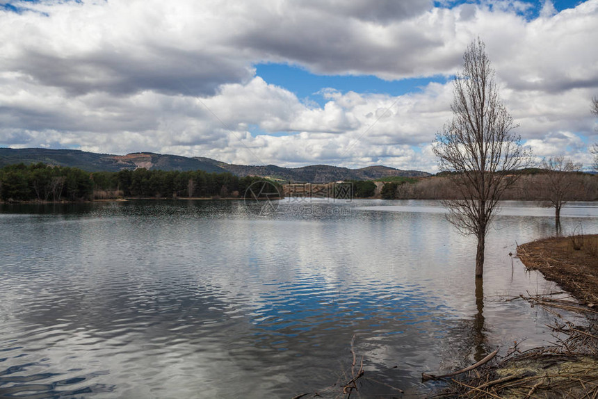 平静湖泊水中的树木景观图片