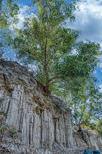 红岩悬崖和丛林树木峡谷图片