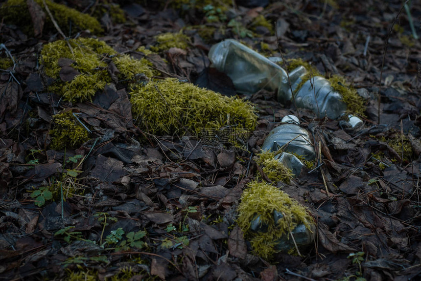 森林里的塑料瓶长得越大生态问题图片