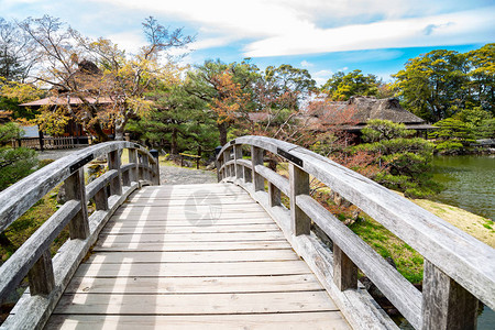 在日本志贺的日本传统花背景图片