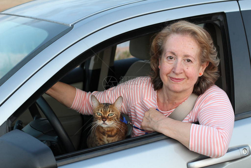 女士和她的猫伴侣一起开车图片