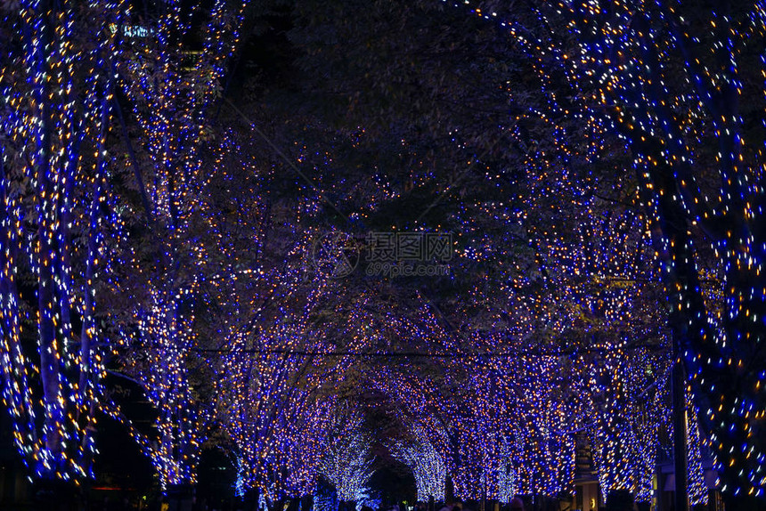 圣诞节照明MinatoMir图片