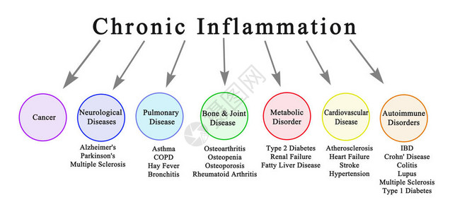 慢炎症的七个后果图片