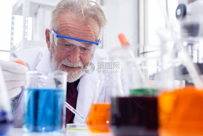 科学家高级试样化学玻璃板在实验室科学检图片