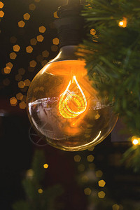 圣诞树枝和小灯光中有一盏黄色的黄白月灯图片