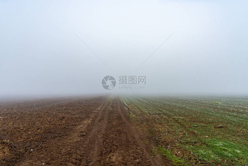 农田上空的雾图片