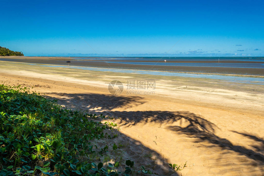 巴西海滩马拉戈吉蓬塔德曼格海图片