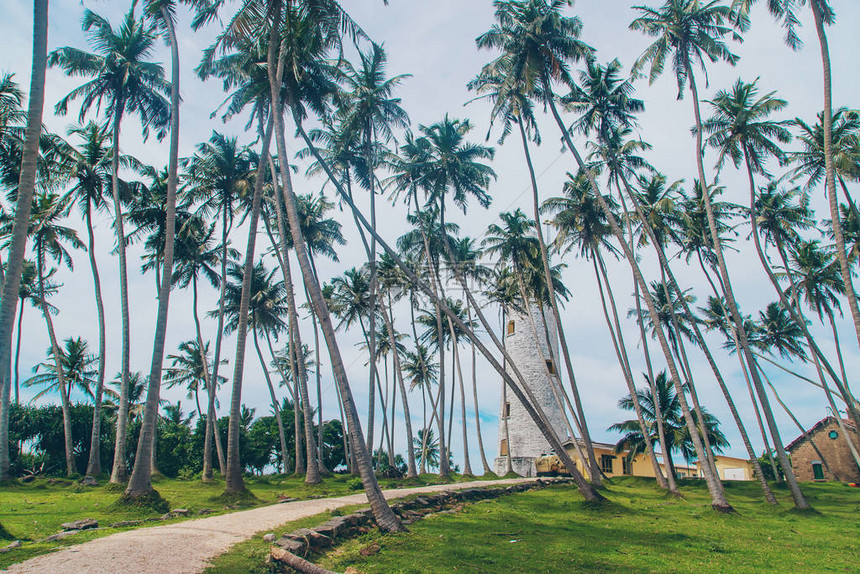 斯里兰卡是一个拥有灯塔的岛屿有选择地集图片