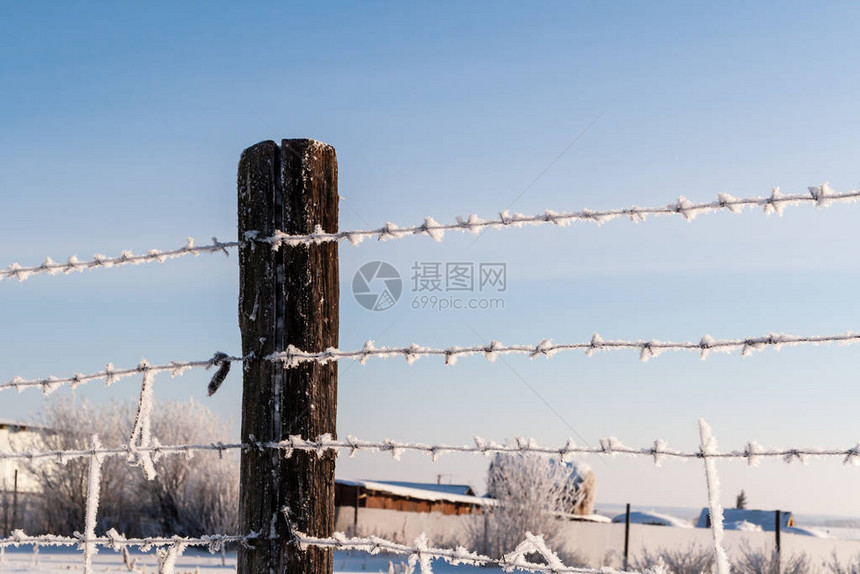 寒冷的刺铁丝网冬天在乡图片