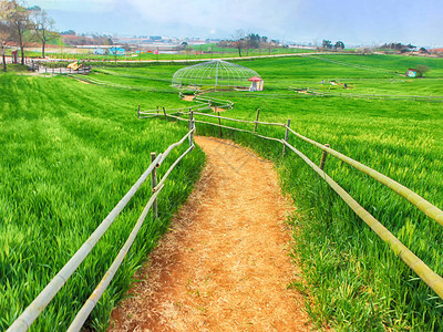 GocchangHakwonBlueBarley农场的风景图片