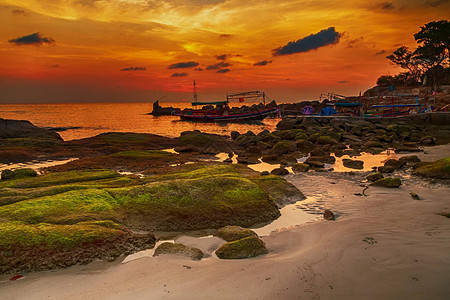 长尾船美丽的沙滩泰国皮岛图片