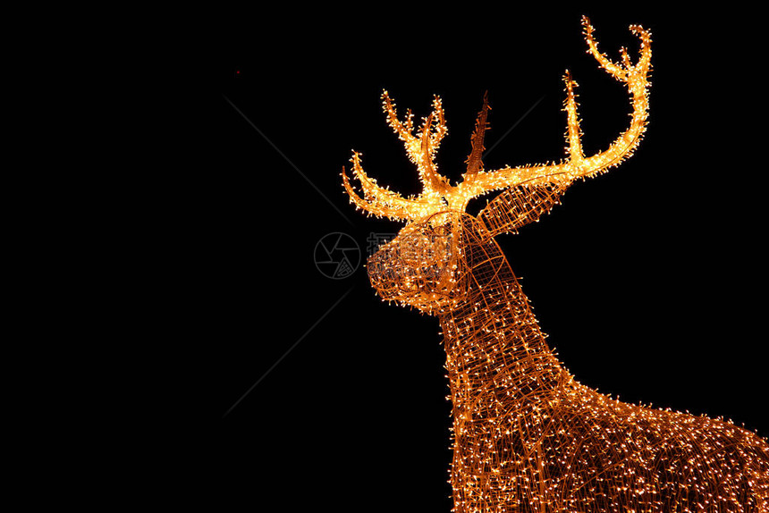 防止夜空圣诞装饰室外圣诞装饰品的金巨型山鹿Ilate图片