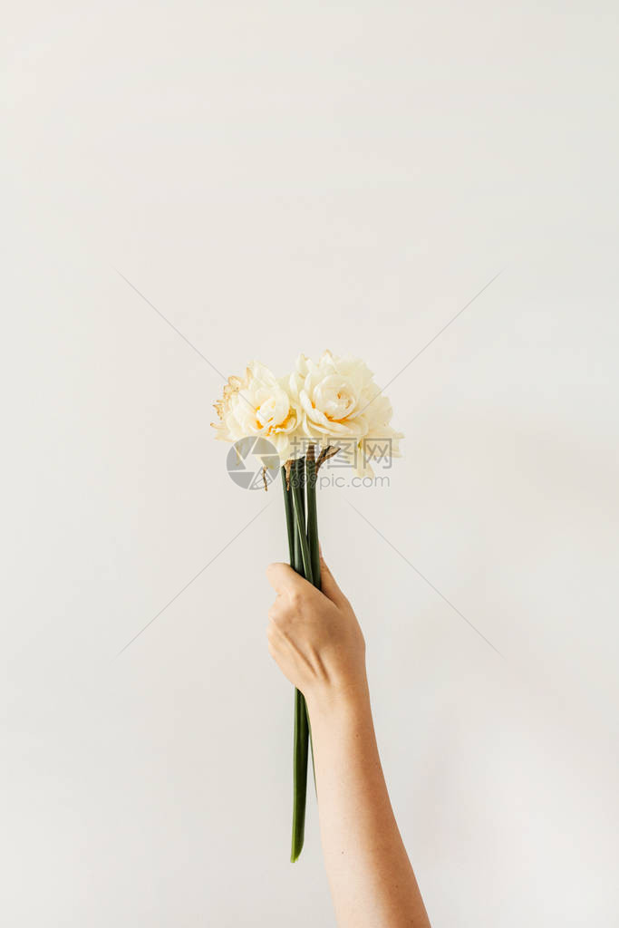 女手握着白色背景上的自恋花束图片