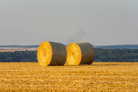 法国兰斯日落时分堆放在田地里的稻草包图片