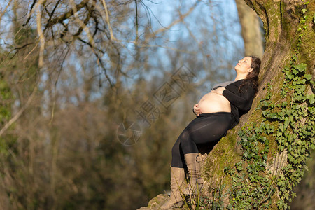 孕妇靠在公园的树上图片