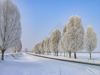冬天风景在田野的公路旁埋图片