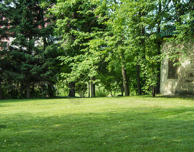绿草坪周围是树木和一座旧圆石屋阳光图片