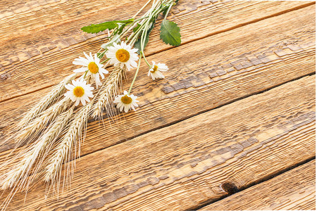 木板上满是甘菊花和小麦的干粒图片