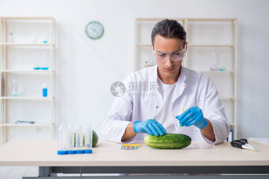 雄营养专家在实验室检测蔬图片