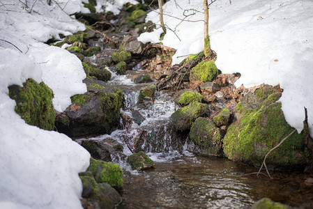 小溪流过雪堆冬季森林景观图片