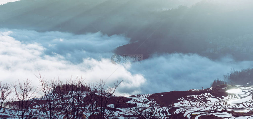 雾海云的元阳梯田全景图片