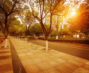 Lujiazui上海街头景图片