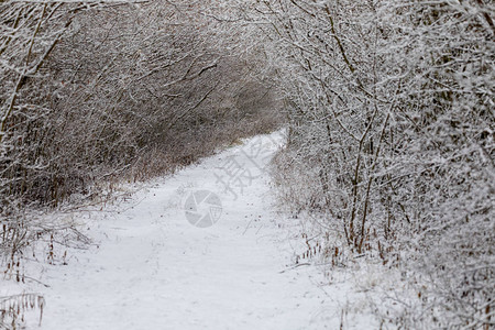 冬季小巷下着雪风景布满雪圣诞图片