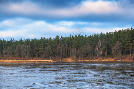 河流在森林中流淌北欧的自然质图片