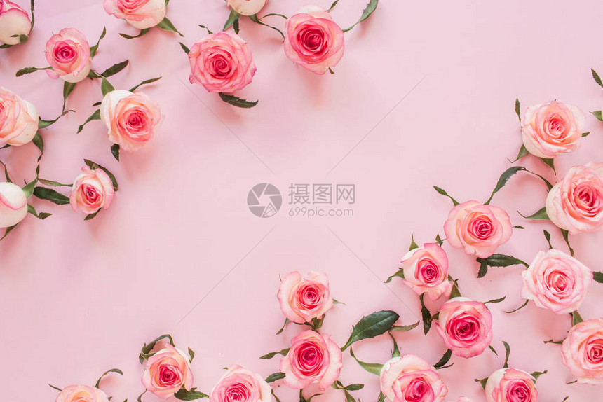 粉红色背景的花朵最顶尖的景图片