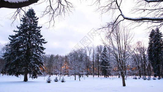 带的白雪覆盖的冬季公园的视图概念冬天公园里美丽图片