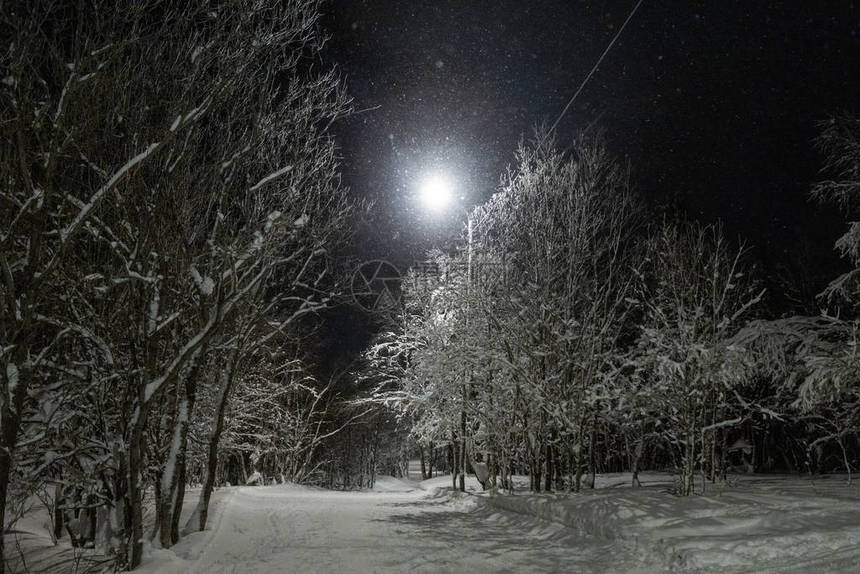 夜间冬季公园的照亮了图片