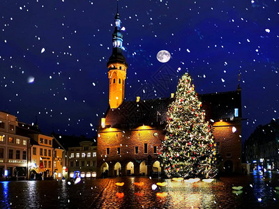 在夜空树光欧洲新年冬季节日图片