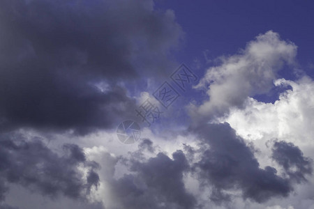 雨前蓝天上的灰色积云图片